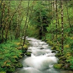 Meet your Posher, Shirley